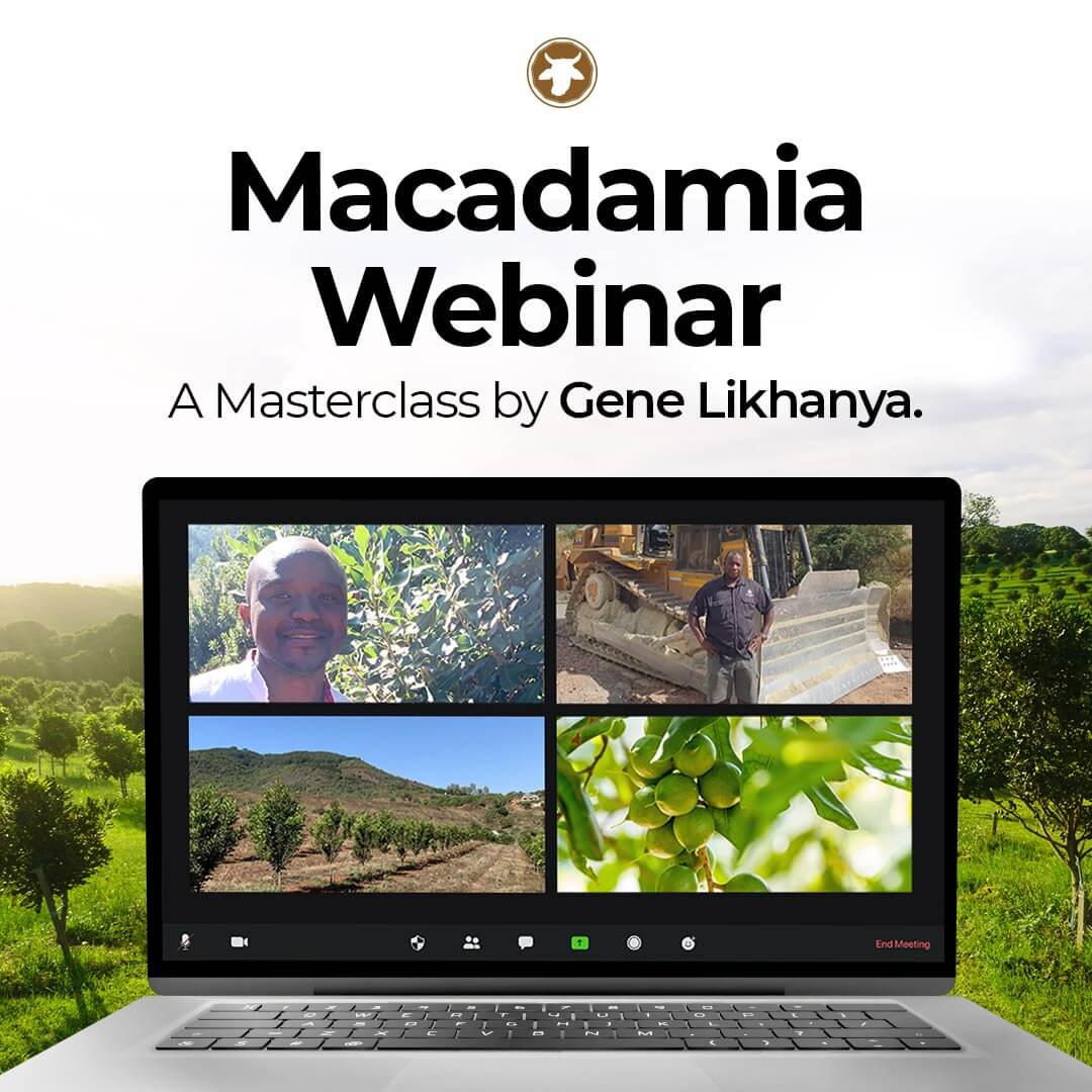 Macadamia Webinar
