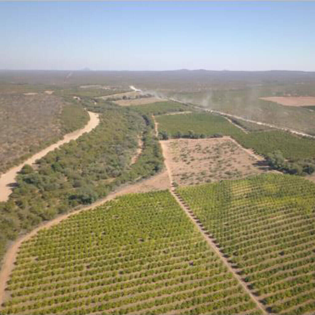 Musina Farm2